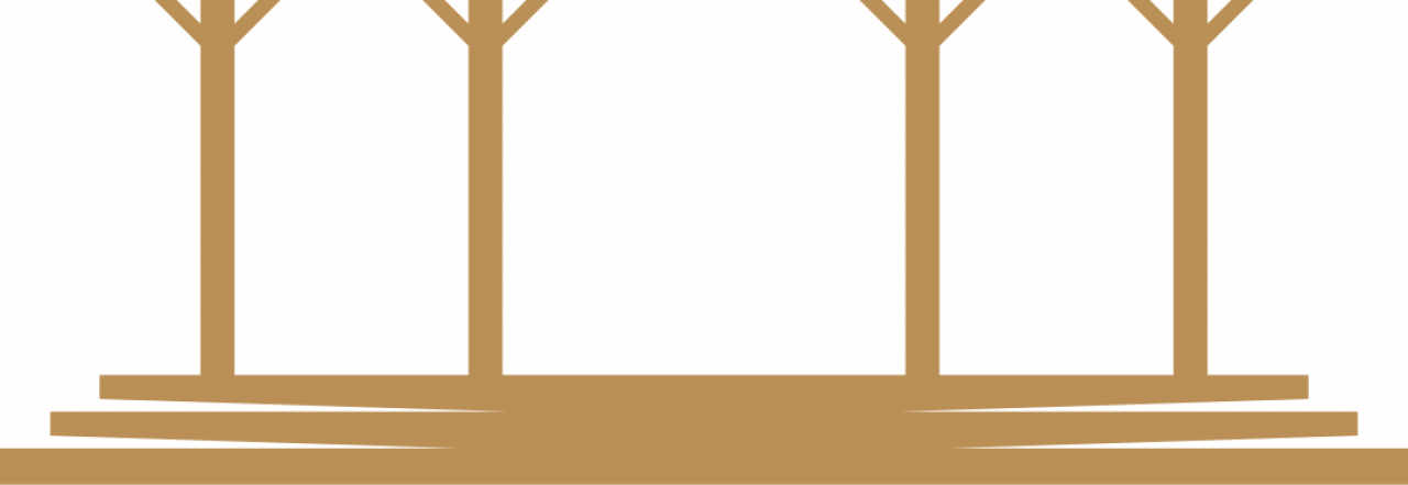 301467-gallery-FMgCPTNp2h.png
